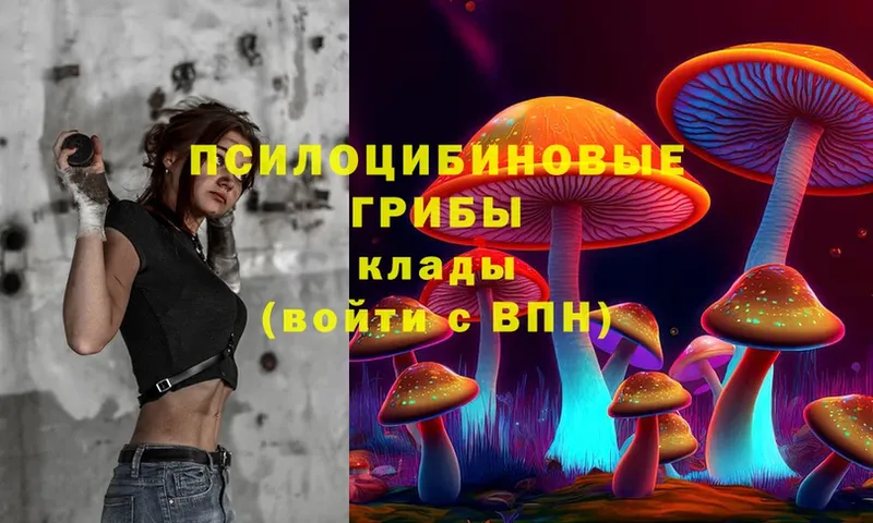 Галлюциногенные грибы Cubensis  МЕГА ссылки  Котельниково 